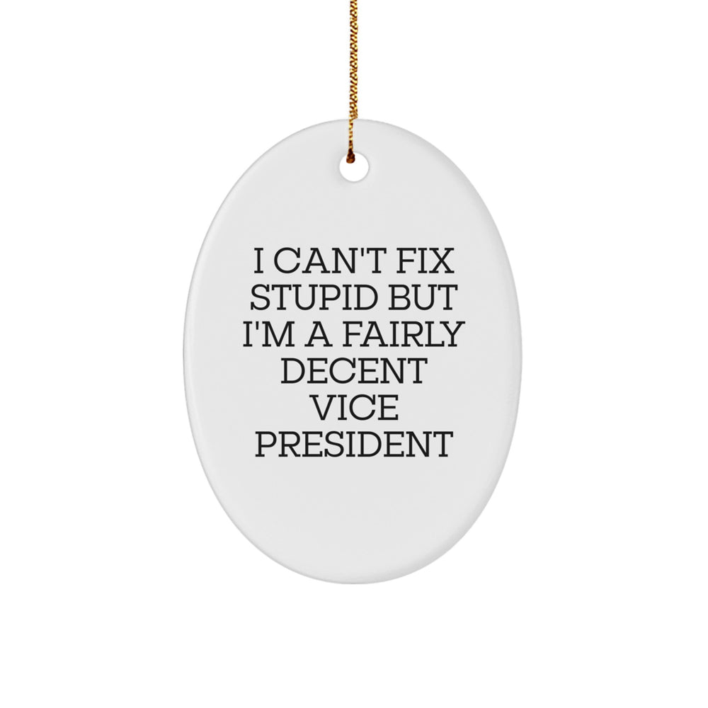 Funny Vice President Oval Ornament Gifts for Women from Friends - 'I Can't Fix Stupid But I'm A Fairly Decent Vice President' Christmas Unique Gifts - Image 1