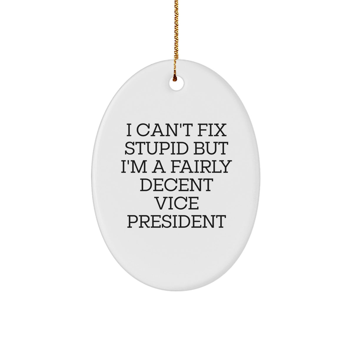 Funny Vice President Oval Ornament Gifts for Women from Friends - 'I Can't Fix Stupid But I'm A Fairly Decent Vice President' Christmas Unique Gifts - Image 1