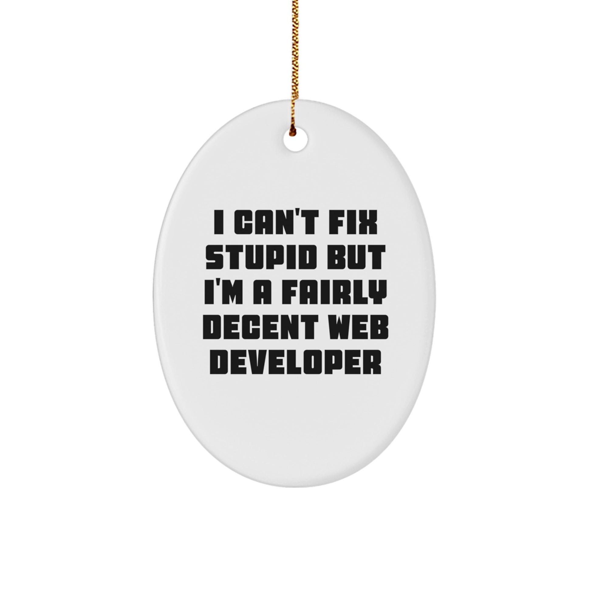 Funny Web Developer Gifts, I Can't Fix Stupid But I'm A Fairly Decent Web Developer Oval Ornament, White, Christmas Unique Gifts from Friends to Coworkers - Image 1