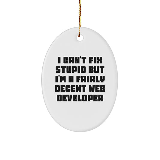 Funny Web Developer Gifts, I Can't Fix Stupid But I'm A Fairly Decent Web Developer Oval Ornament, White, Christmas Unique Gifts from Friends to Coworkers - Image 1