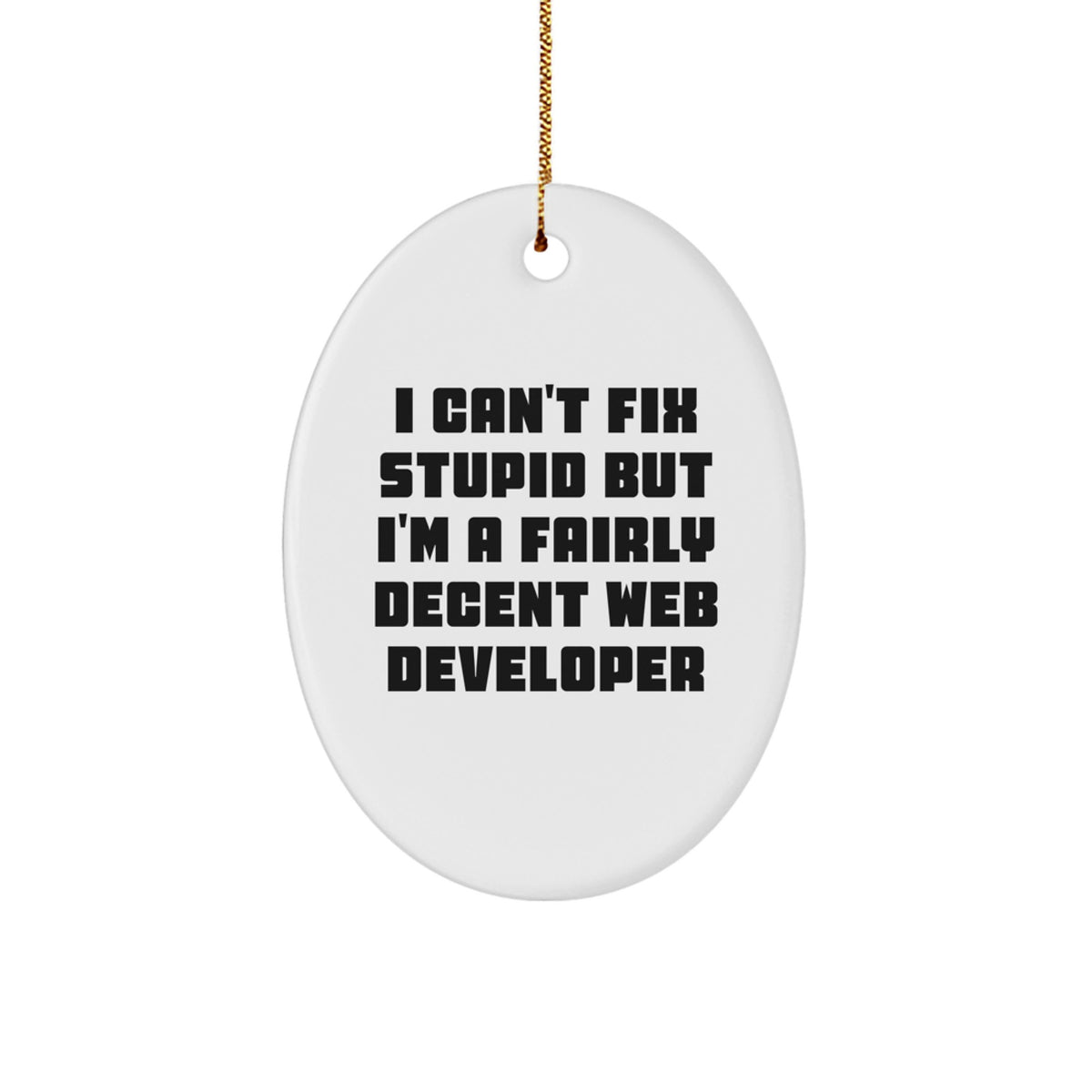 Funny Web Developer Gifts, I Can't Fix Stupid But I'm A Fairly Decent Web Developer Oval Ornament, White, Christmas Unique Gifts from Friends to Coworkers - Image 1
