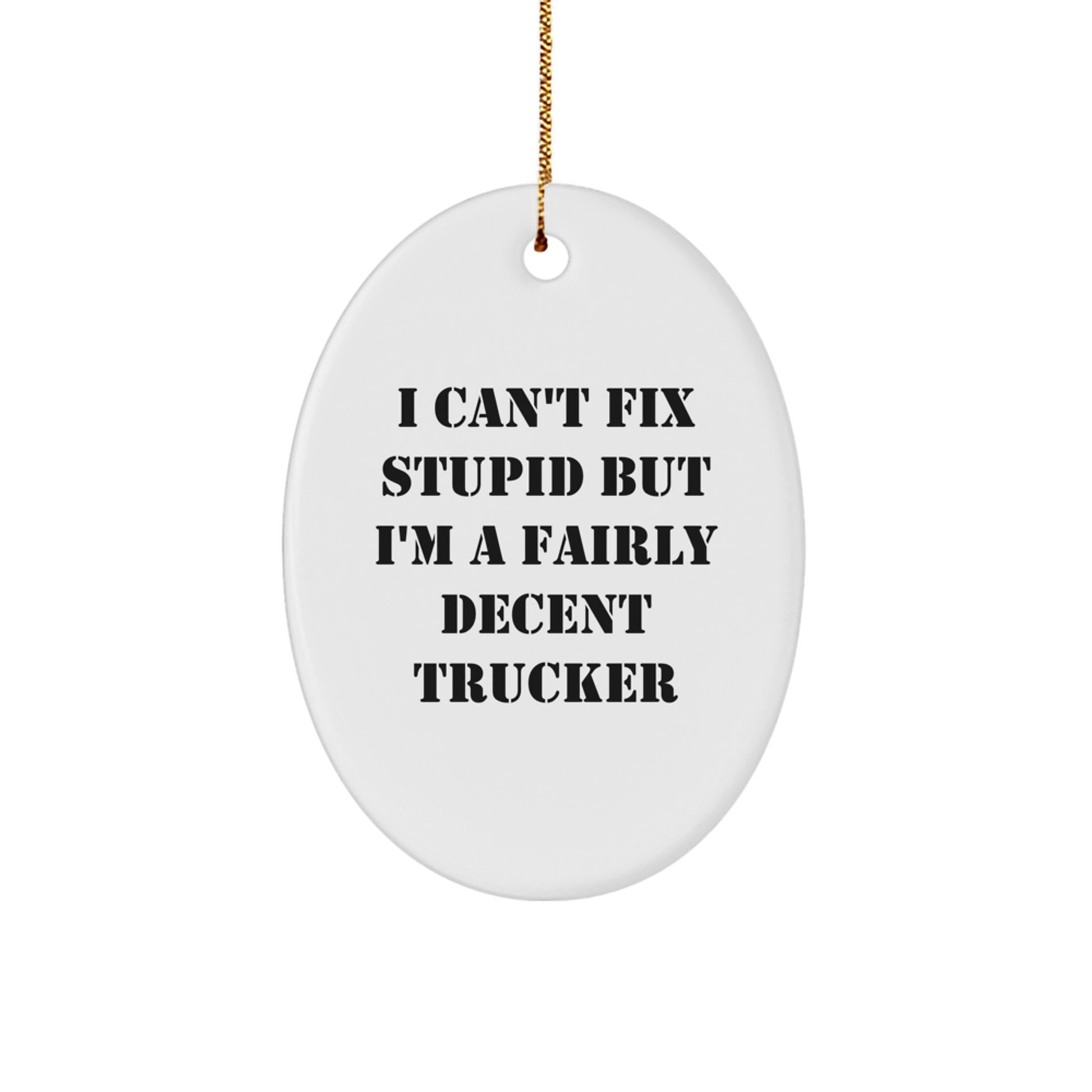Funny Trucker Gifts for Men, Oval Ornament 'I Can't Fix Stupid But I'm A Fairly Decent Trucker' Christmas Unique Gifts from Family - Image 1