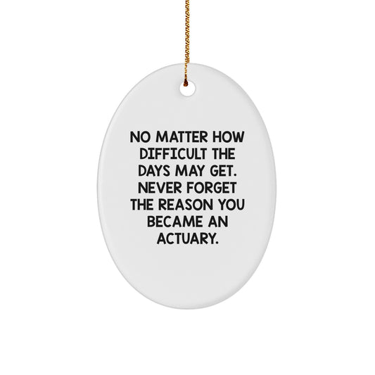 Funny Actuary Oval Ornament Gifts for Actuary Men - Never Forget the Reason, Oval Shaped MDF Christmas Unique Gifts from Friends - Image 1