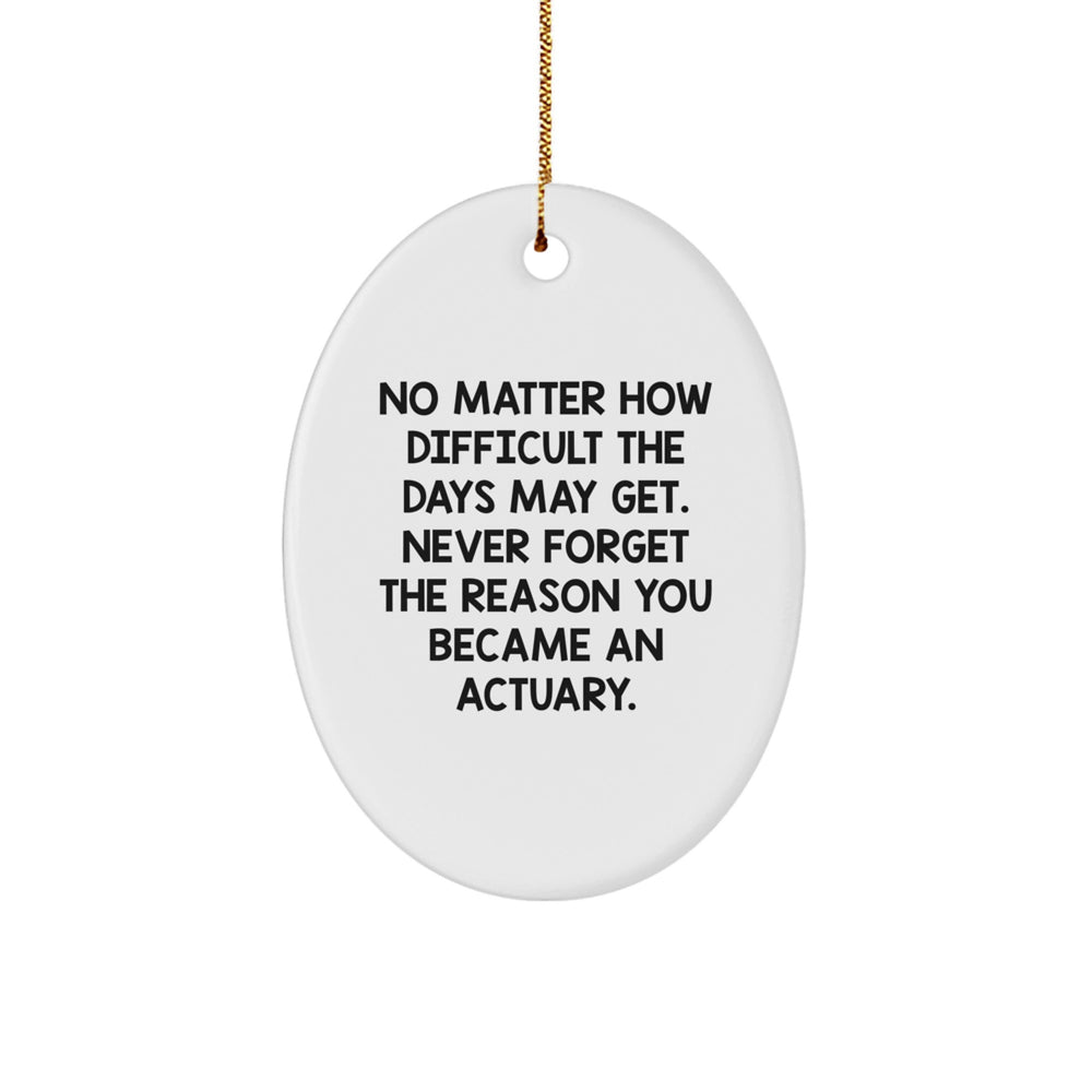 Funny Actuary Oval Ornament Gifts for Actuary Men - Never Forget the Reason, Oval Shaped MDF Christmas Unique Gifts from Friends - Image 1