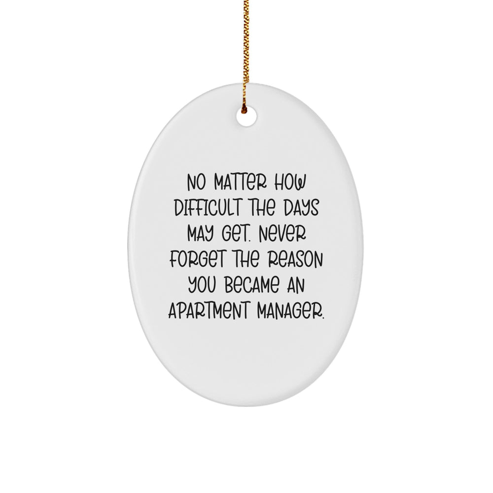 Apartment Manager Gifts from Friends and Family - Inspirational Oval Ornament for Christmas, 'No Matter How Difficult The Days May Get. Never Forget The Reason You Became An Apartment Manager.' - Image 1