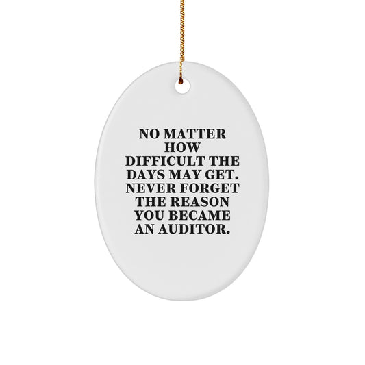 Funny Auditor Gifts for Men - Oval Ornament with Inspirational Quote - Christmas Unique Gift from Friends and Family - Image 1