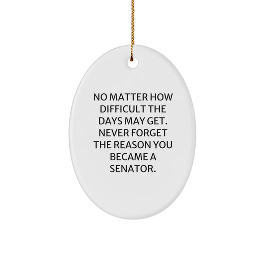 Funny Senator Oval Ornament Gifts from Family and Friends for Senator Unique Christmas Unique Gifts - Image 1