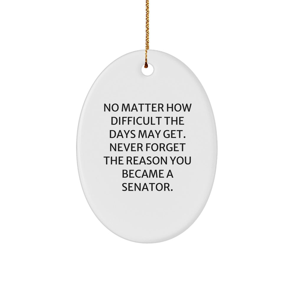 Funny Senator Oval Ornament Gifts from Family and Friends for Senator Unique Christmas Unique Gifts - Image 1