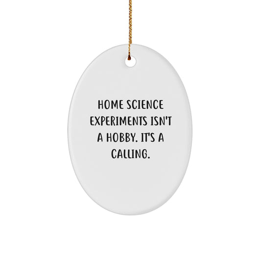 Home Science Experiments Enthusiasts Gifts for Men - Oval Ornament, Funny Quote - Gifts from Family and Friends for Christmas Unique Gifts - Image 1