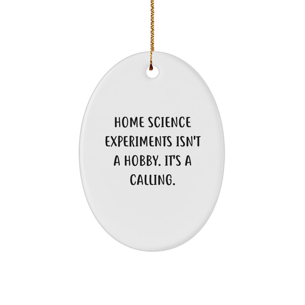 Home Science Experiments Enthusiasts Gifts for Men - Oval Ornament, Funny Quote - Gifts from Family and Friends for Christmas Unique Gifts - Image 1