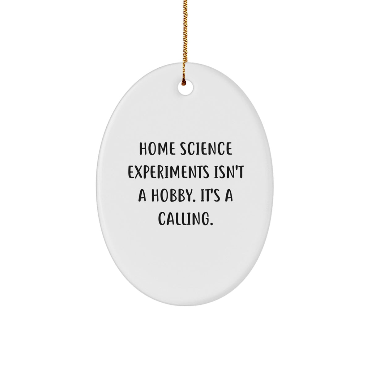 Home Science Experiments Enthusiasts Gifts for Men - Oval Ornament, Funny Quote - Gifts from Family and Friends for Christmas Unique Gifts - Image 1