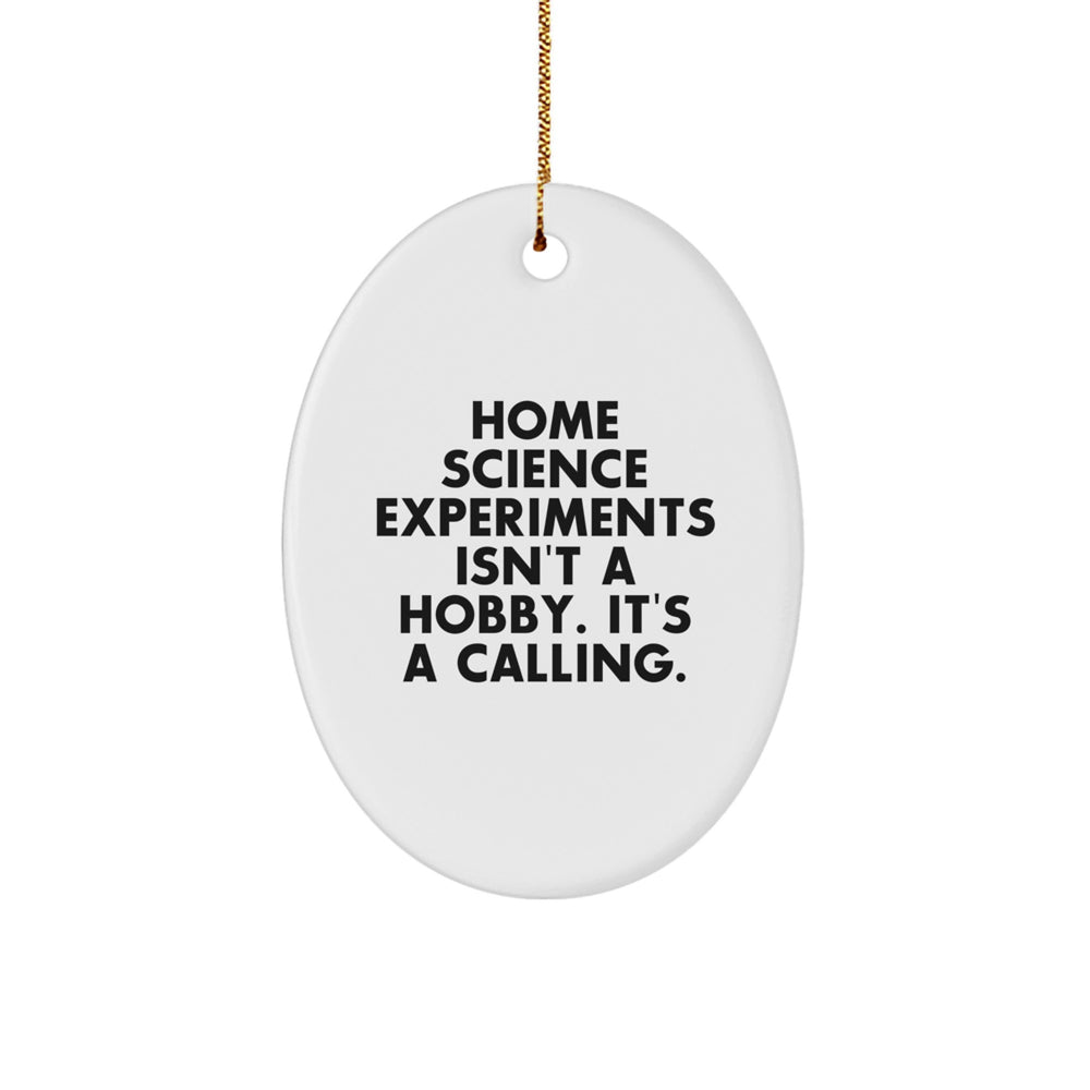 Home Science Experiments Gifts for Friends, Oval Ornament - A Funny Quote from 'Home Science Experiments Isn't A Hobby. It's A Calling.' - Christmas Unique Gifts from Men to Family - Image 1