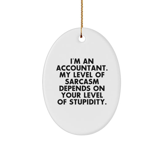 Accountant Oval Ornament Funny Gift for Accountants, Sarcasm Humor, Christmas Unique Gifts from Friends, Family, Coworkers, Men, Women - Image 1