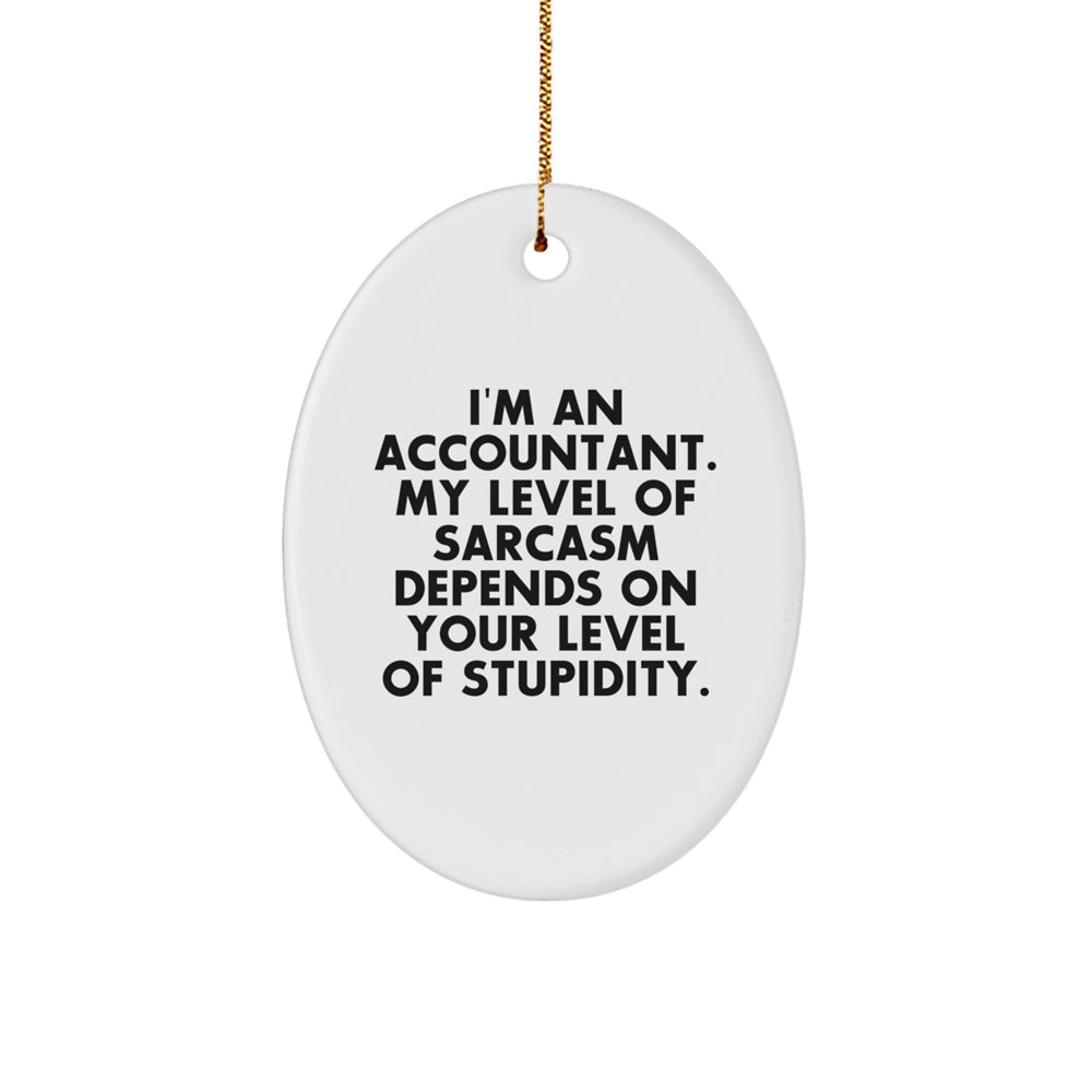Accountant Oval Ornament Funny Gift for Accountants, Sarcasm Humor, Christmas Unique Gifts from Friends, Family, Coworkers, Men, Women - Image 1