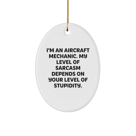 Funny Gifts from Friends for Aircraft Mechanic Oval Ornament Christmas Unique Decorations - Image 1