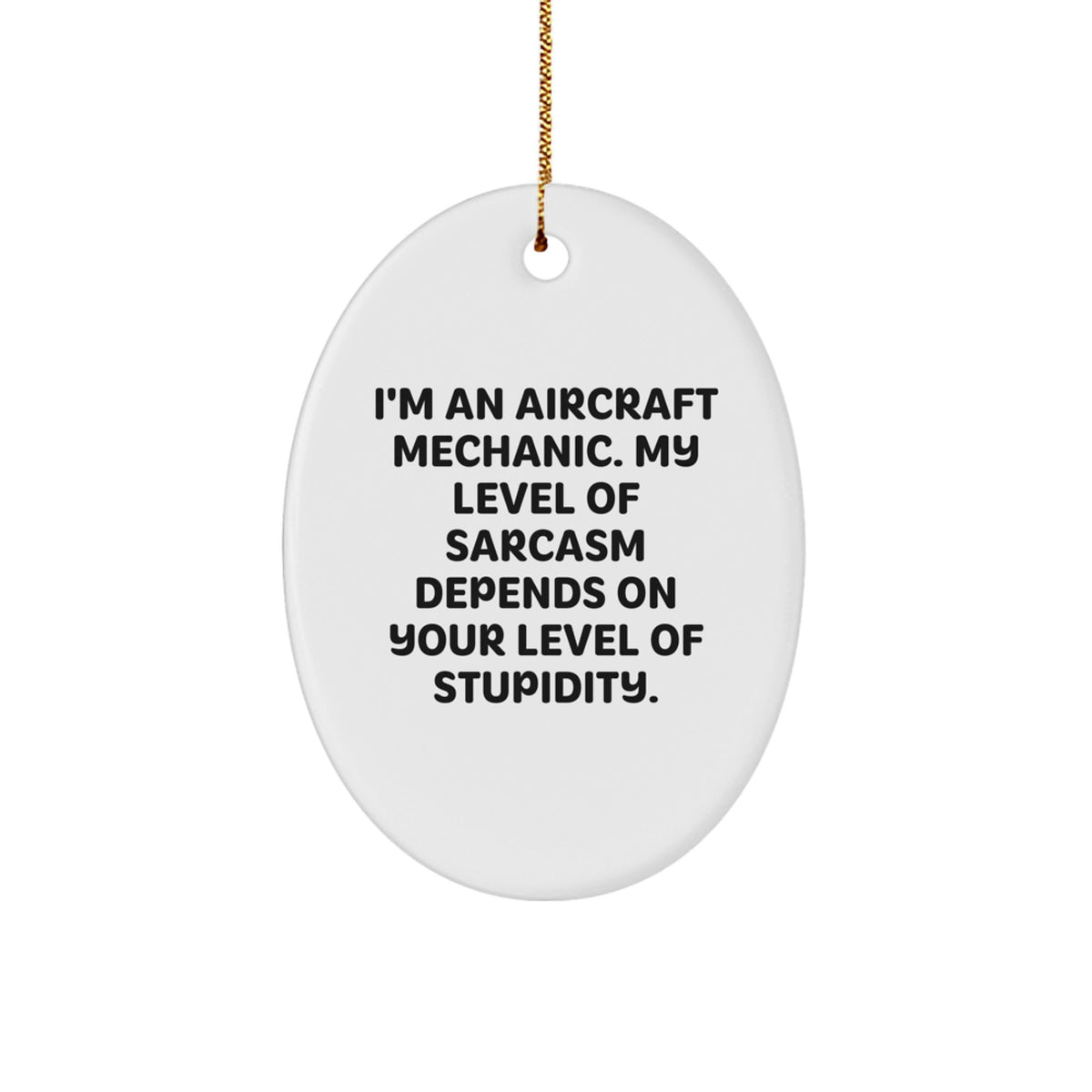Funny Gifts from Friends for Aircraft Mechanic Oval Ornament Christmas Unique Decorations - Image 1