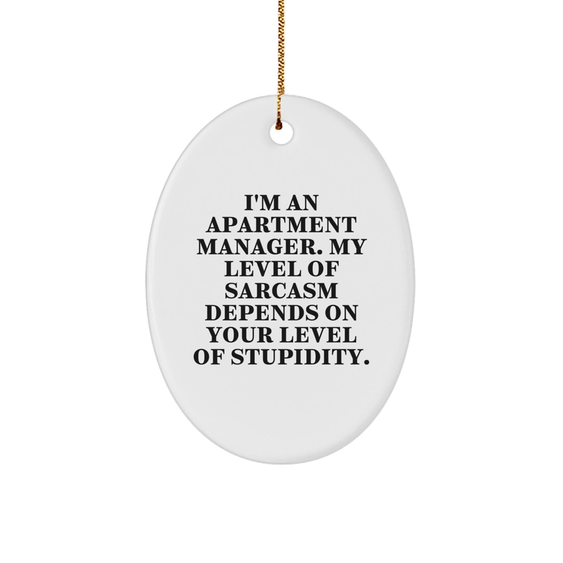 Funny Apartment Manager Gifts for Men, Oval Ornament from Friends, Apartment Manager Christmas Decorations, 'I'm An Apartment Manager. My Level Of Sarcasm Depends On Your Level Of Stupidity.' - Image 1
