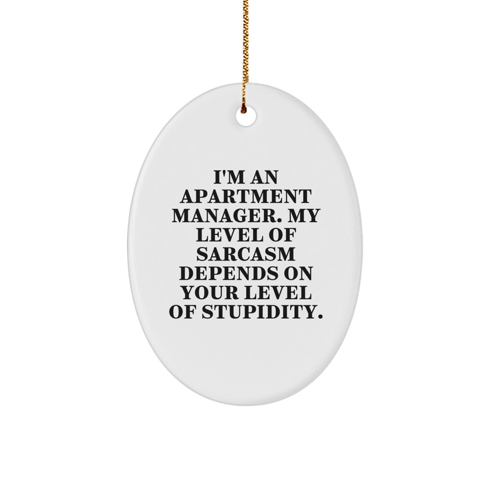 Funny Apartment Manager Gifts for Men, Oval Ornament from Friends, Apartment Manager Christmas Decorations, 'I'm An Apartment Manager. My Level Of Sarcasm Depends On Your Level Of Stupidity.' - Image 1