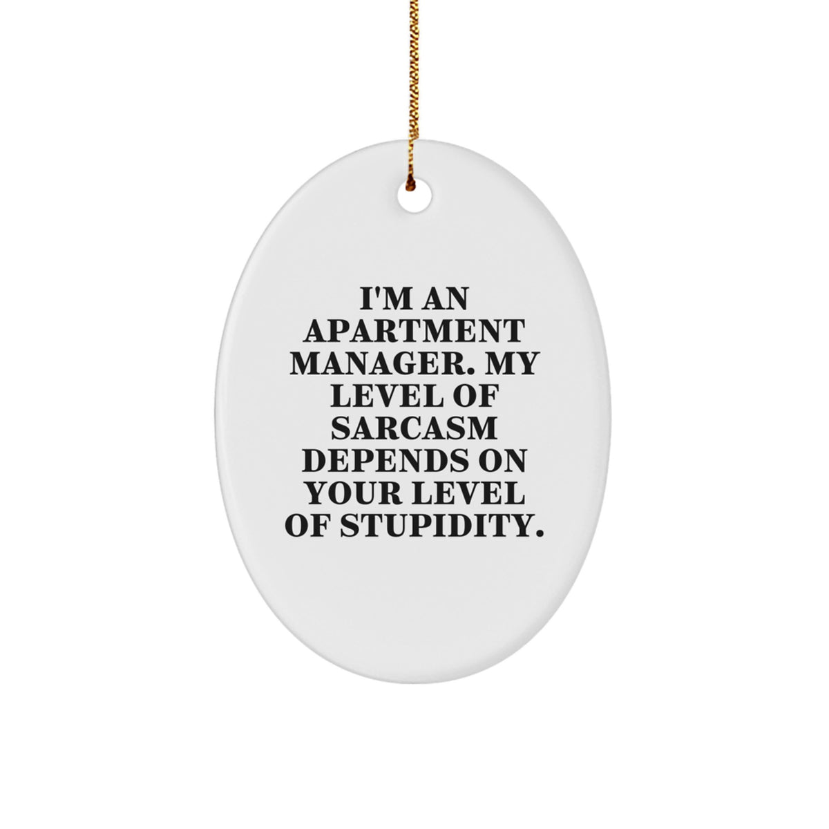 Funny Apartment Manager Gifts for Men, Oval Ornament from Friends, Apartment Manager Christmas Decorations, 'I'm An Apartment Manager. My Level Of Sarcasm Depends On Your Level Of Stupidity.' - Image 1