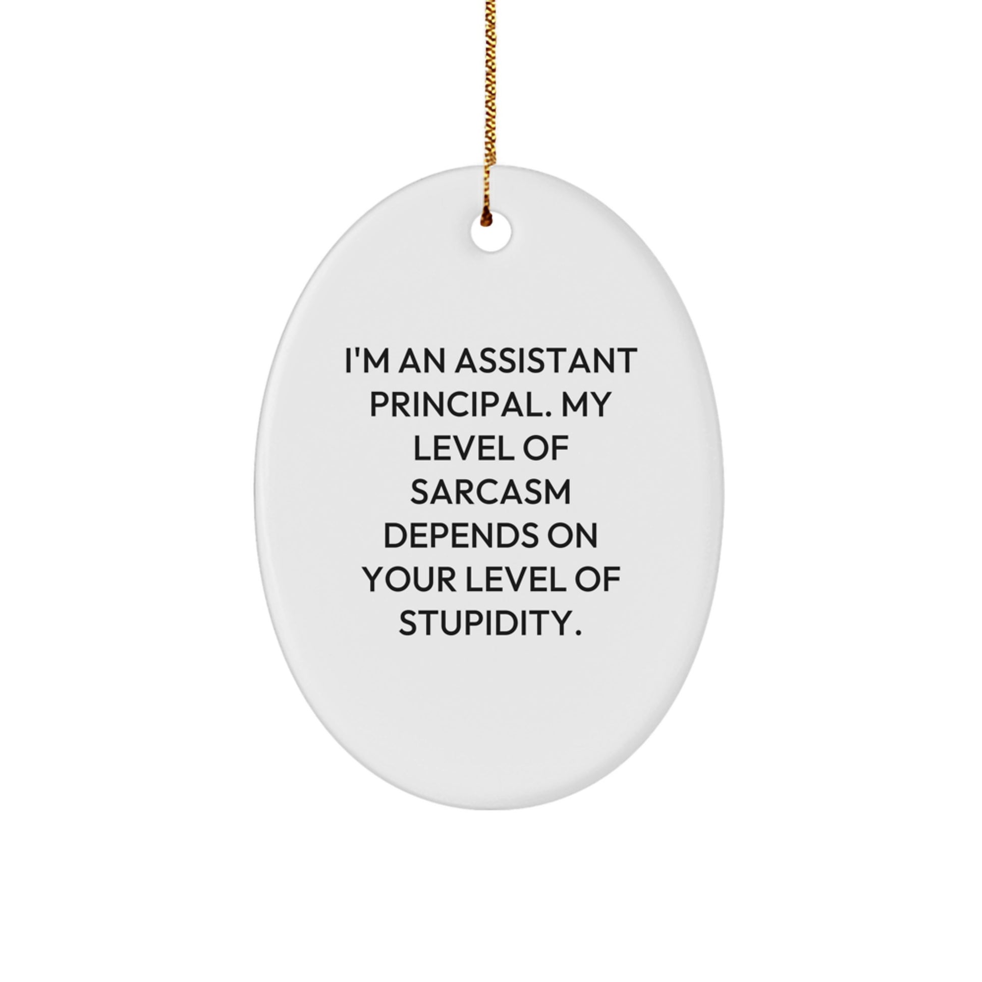 Funny Assistant Principal Gifts - Sarcastic Oval Ornament for Assistant Principals, Christmas Unique Gifts from Friends, Coworkers to Men - Image 1