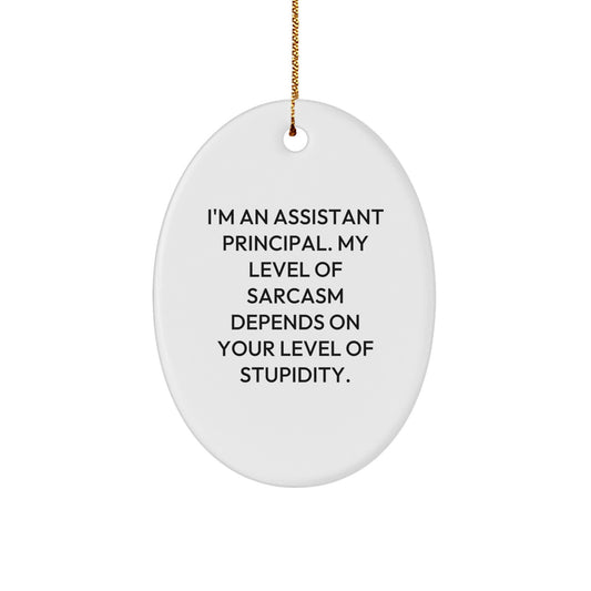 Funny Assistant Principal Gifts - Sarcastic Oval Ornament for Assistant Principals, Christmas Unique Gifts from Friends, Coworkers to Men - Image 1