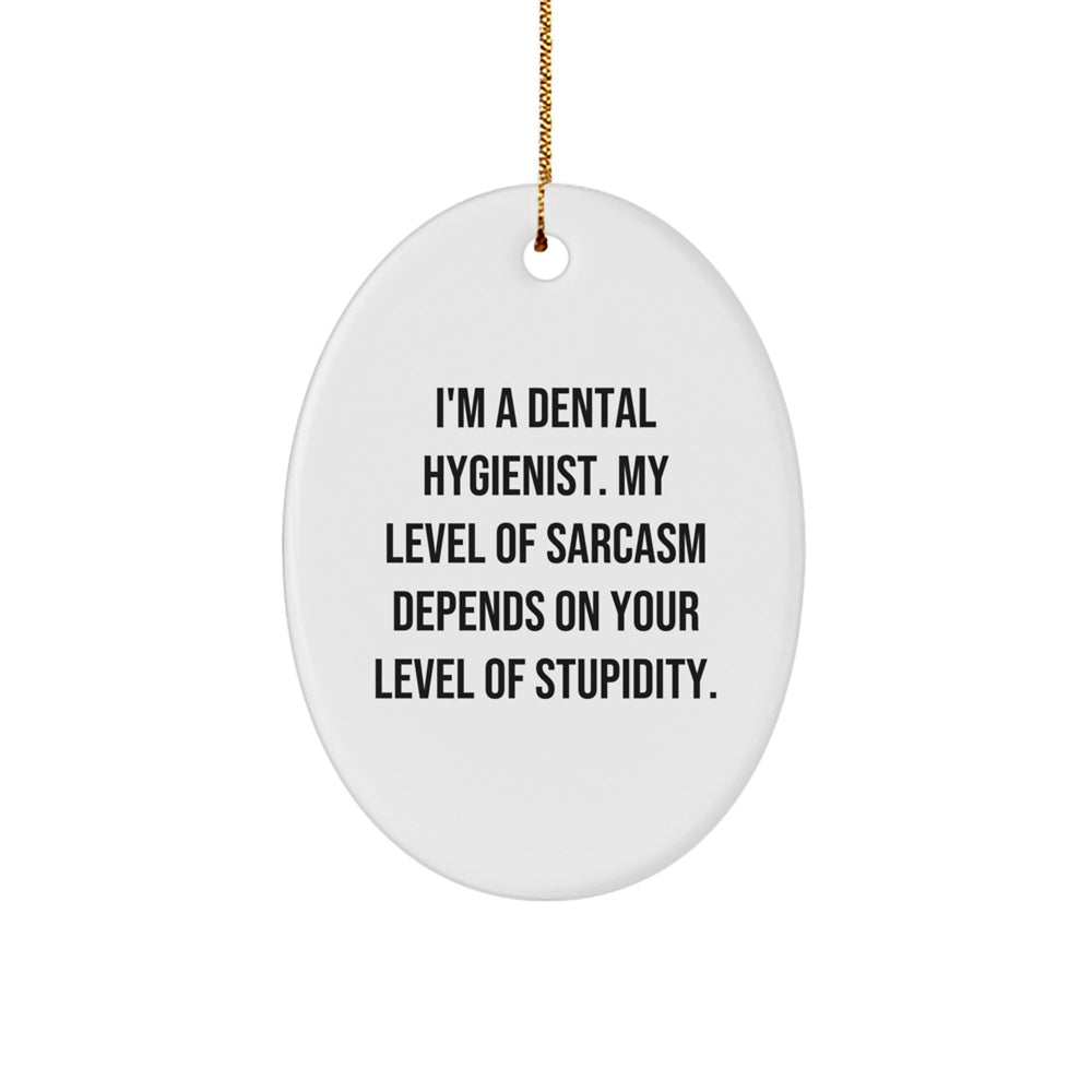 Dental Hygienist Oval Ornament, Funny Sarcasm Humor Quote Gifts for Dental Hygienist, Christmas Unique Gifts from Family Friends Coworkers - Image 1