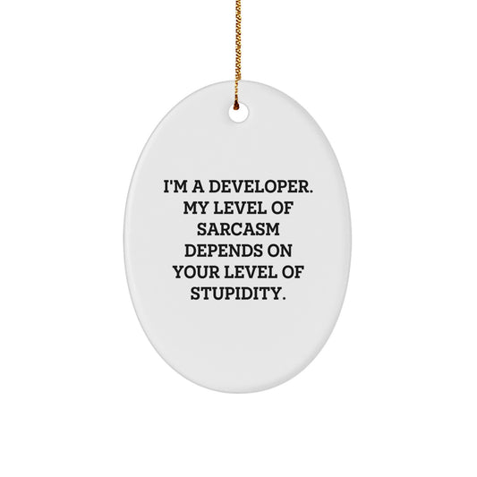 Funny Developer Gifts for Christmas - Oval Ornament with 'I'm A Developer' Quote, Gifts from Family to Coworkers - Image 1