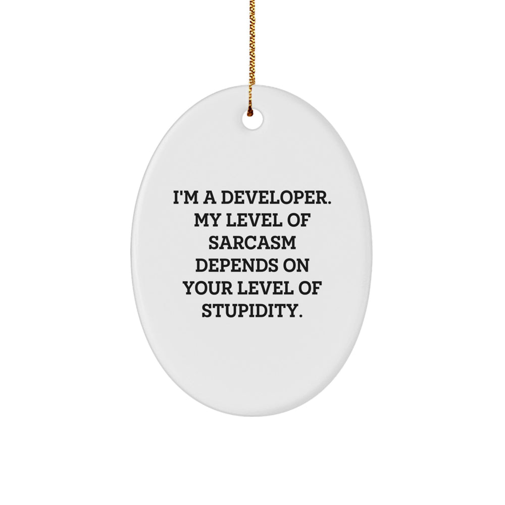 Funny Developer Gifts for Christmas - Oval Ornament with 'I'm A Developer' Quote, Gifts from Family to Coworkers - Image 1