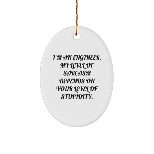 Funny Engineer Gifts from Men to Family, Oval Ornament with Sarcasm Quote, Christmas Unique Gifts for Engineers - Image 1