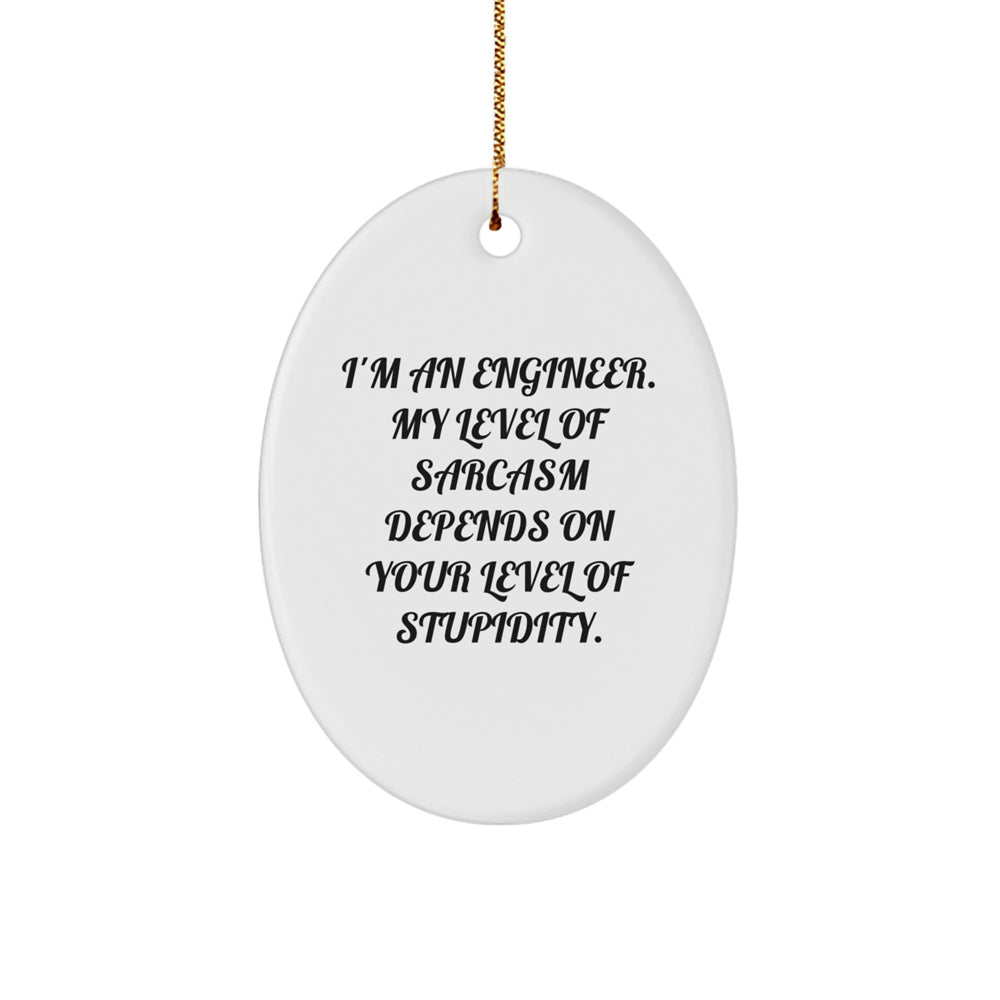 Funny Engineer Gifts from Men to Family, Oval Ornament with Sarcasm Quote, Christmas Unique Gifts for Engineers - Image 1