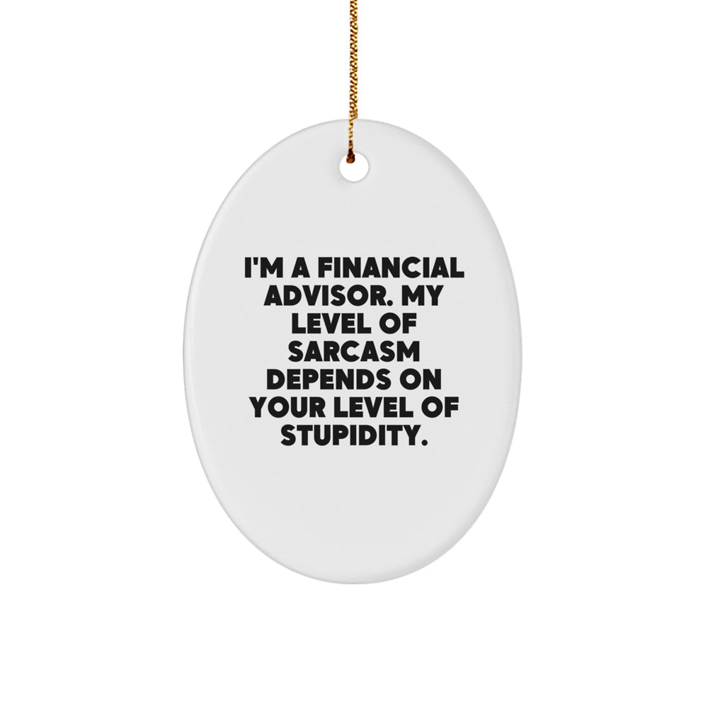 Funny Financial Advisor Gifts for Men or Women, Oval Ornament with Sarcasm Quote, Gifts from Friends or Family, Christmas Unique Gifts - Image 1