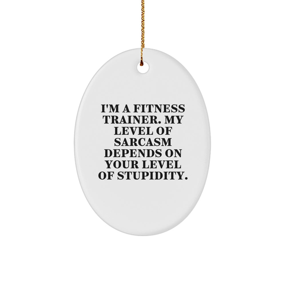 Funny Fitness Trainer Gifts for Men - Oval Ornament with I'm A Fitness Trainer Sarcasm Quote, Christmas Unique Gifts from Family - Image 1