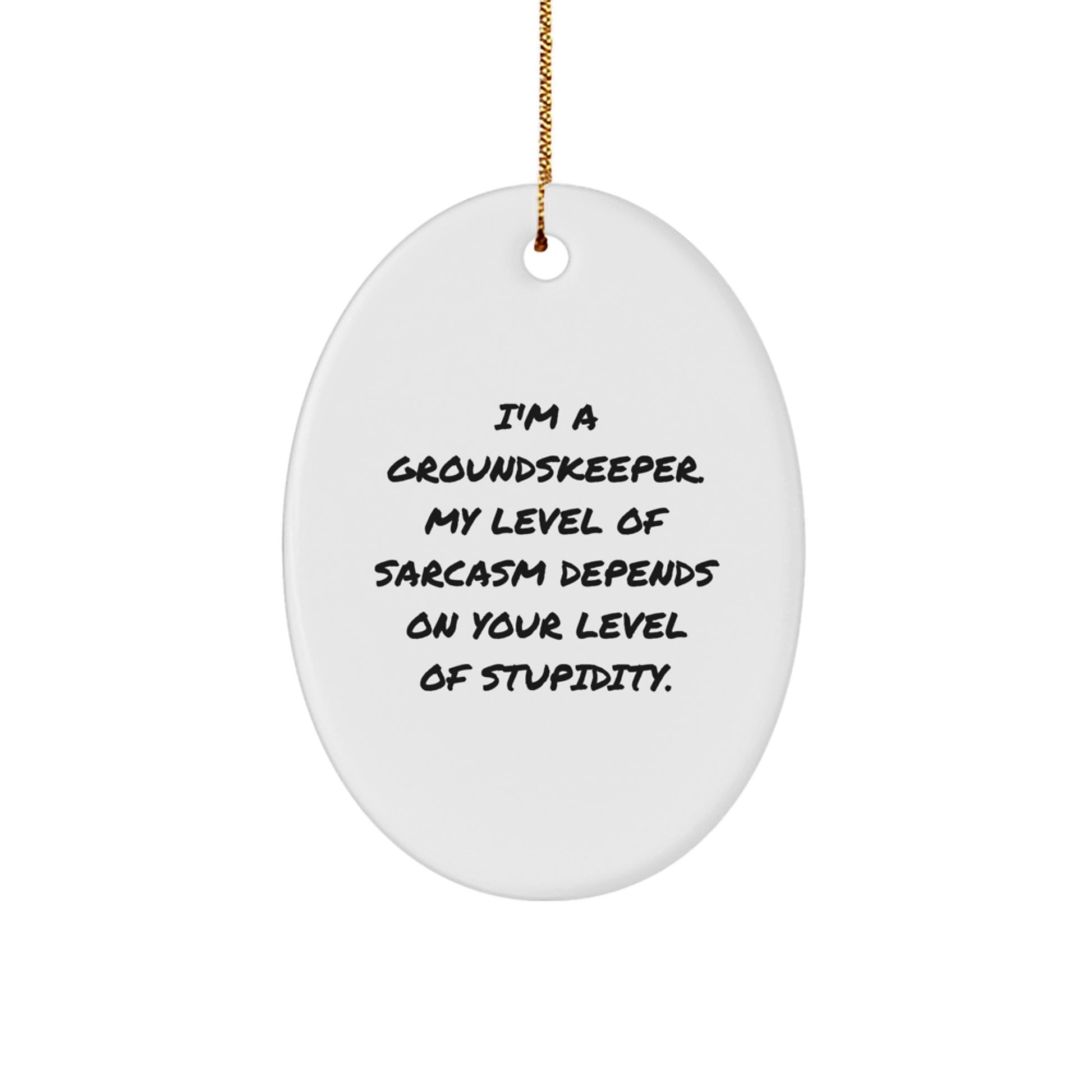 Funny groundskeeper Gifts from Friends, Oval Ornament for groundskeepers, Christmas Unique Presents, I'm A groundskeeper My Level Of Sarcasm Depends On Your Level Of - Image 1
