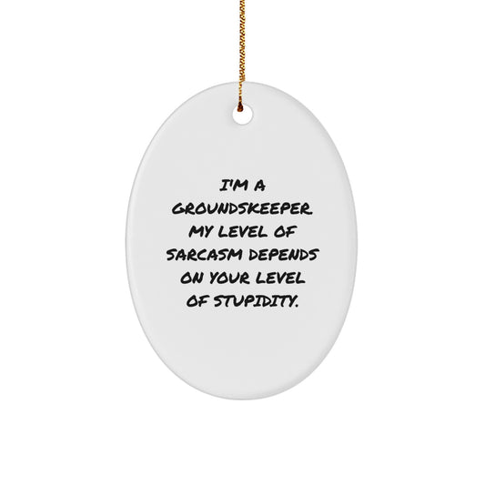 Funny groundskeeper Gifts from Friends, Oval Ornament for groundskeepers, Christmas Unique Presents, I'm A groundskeeper My Level Of Sarcasm Depends On Your Level Of - Image 1