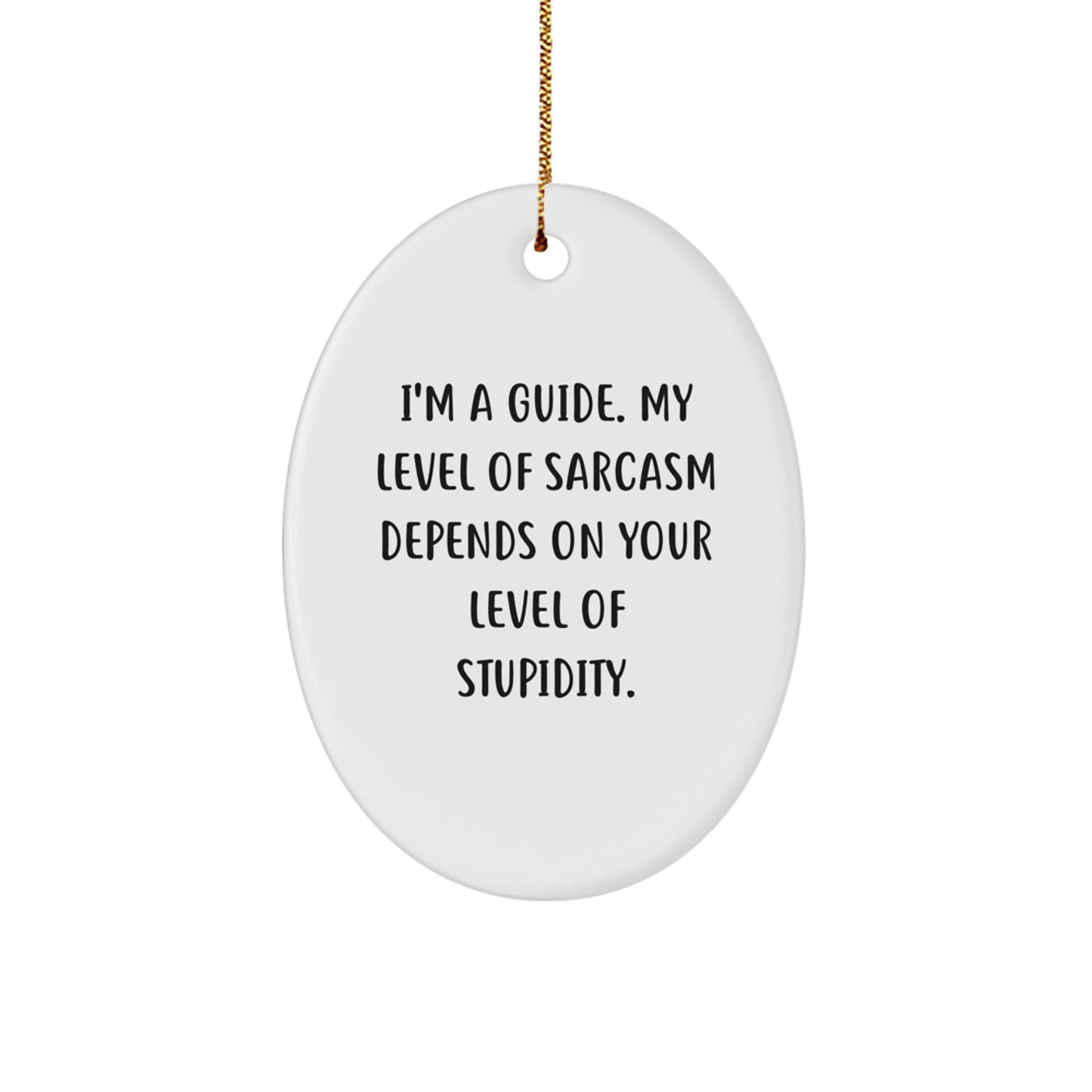 Funny Guide Oval Ornament, Gifts from Friends for Guide, Christmas Unique Gifts - Image 1
