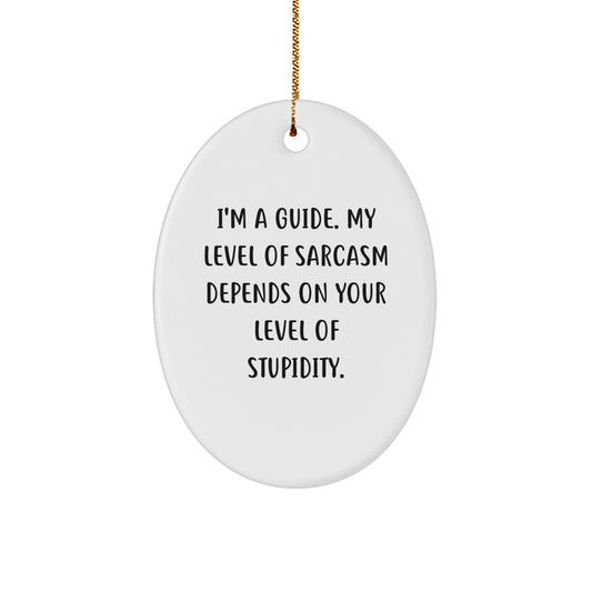 Funny Guide Oval Ornament, Gifts from Friends for Guide, Christmas Unique Gifts - Image 1