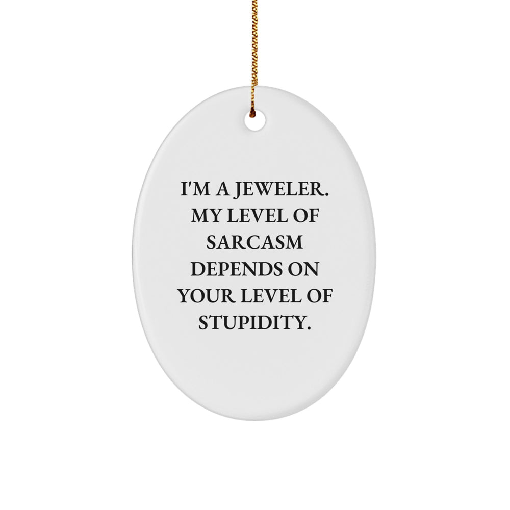 Funny Jeweler Gifts from Friends, Christmas Unique Oval Ornament for Jeweler, I'm A Jeweler. My Level Of Sarcasm Depends On Your Level Of Stupidity. - Image 1