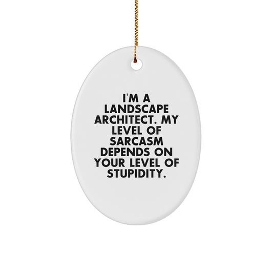 Funny Landscape Architect Oval Ornament Gifts from Friends for Christmas Unique Presents - Image 1