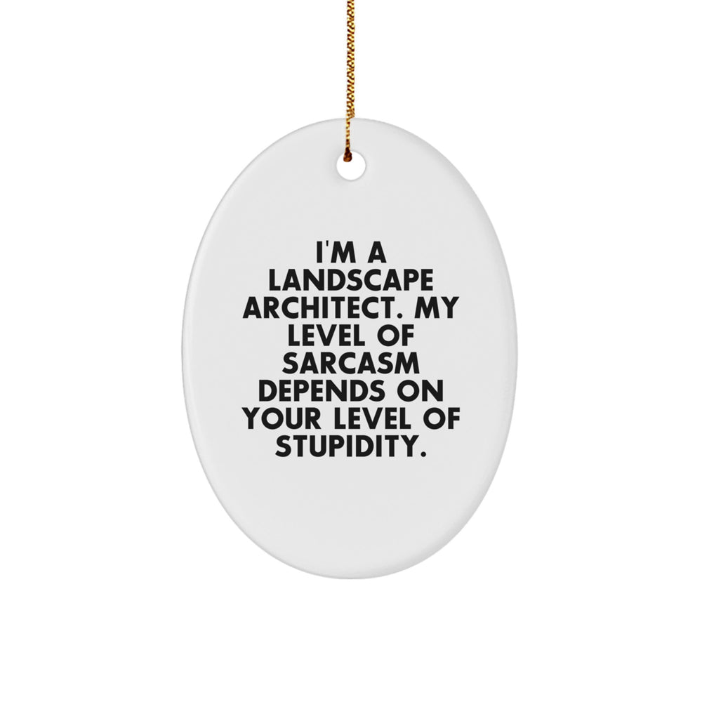 Funny Landscape Architect Oval Ornament Gifts from Friends for Christmas Unique Presents - Image 1
