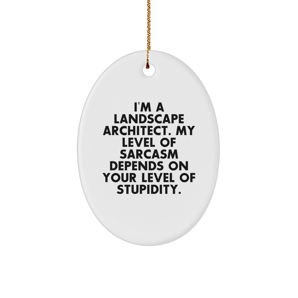 Funny Landscape Architect Oval Ornament Gifts from Friends for Christmas Unique Presents - Image 1
