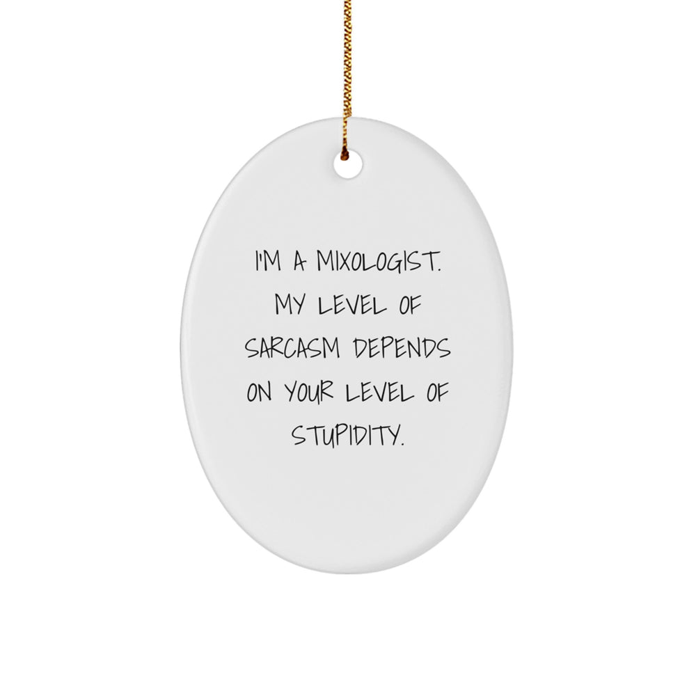 Funny Mixologist Gifts for Him - Oval Ornament with I'm A Mixologist Sarcasm Quote, Christmas Unique Gifts from Friends to Family - Image 1