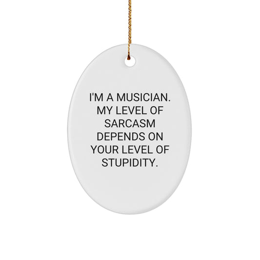 Funny Musician Oval Ornament Gifts from Friends, Christmas Unique Gifts for Musician Men, Oval Ornament Sarcasm Quote - Image 1