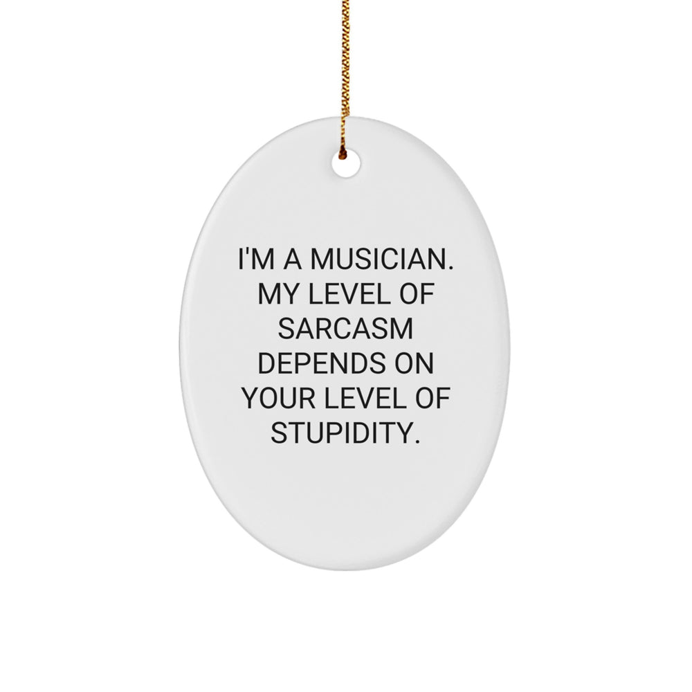 Funny Musician Oval Ornament Gifts from Friends, Christmas Unique Gifts for Musician Men, Oval Ornament Sarcasm Quote - Image 1