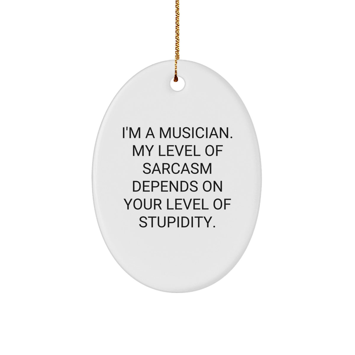Funny Musician Oval Ornament Gifts from Friends, Christmas Unique Gifts for Musician Men, Oval Ornament Sarcasm Quote - Image 1