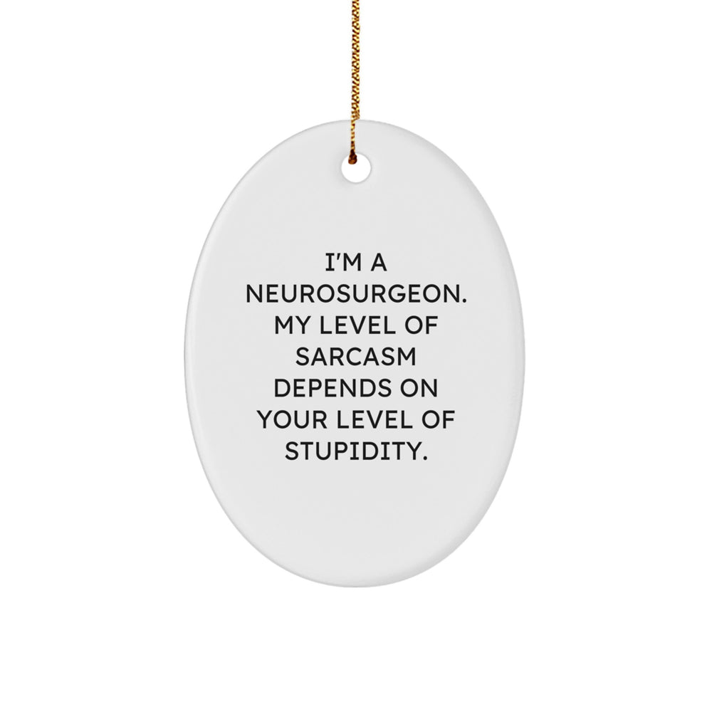 Funny Neurosurgeon Oval Ornament Gifts from Friends for Christmas Unique Decorations - Image 1