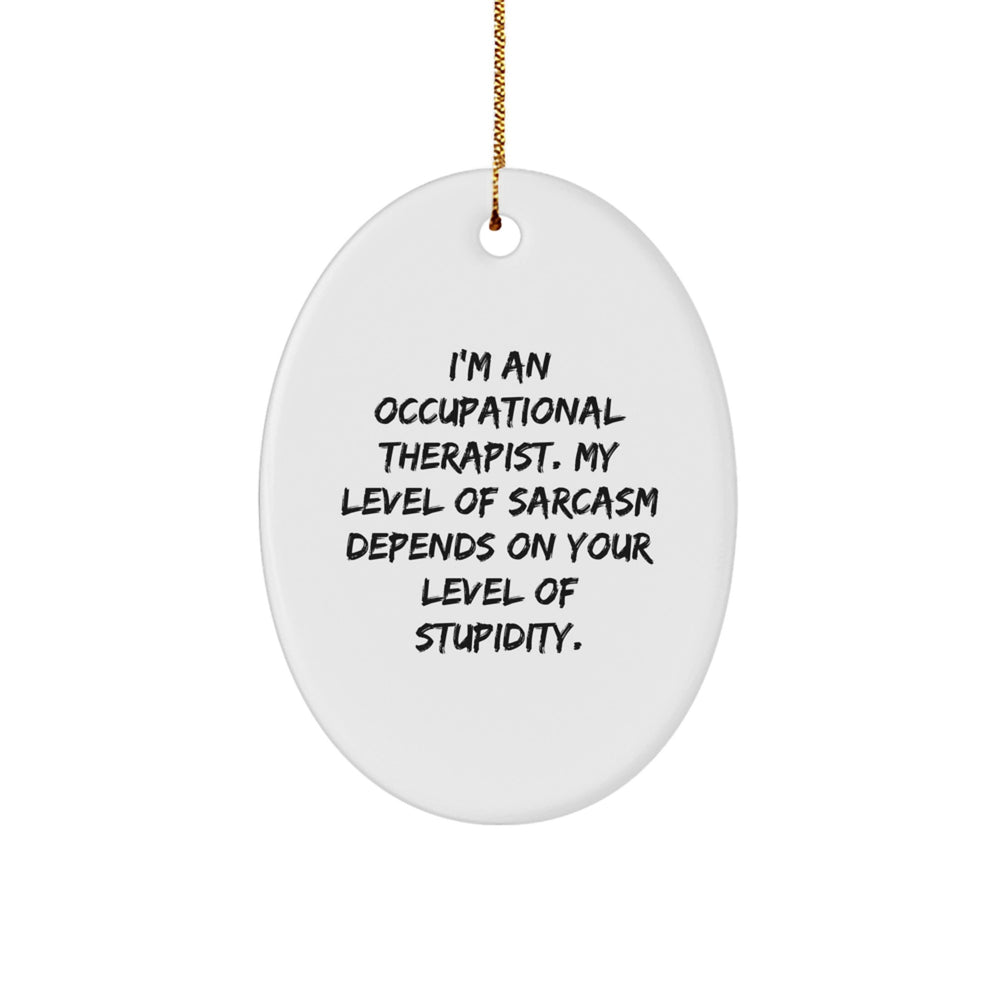 Funny Occupational Therapist Gifts for Men, Unique Oval Ornament from Friends, Sarcasm Level Depends on Stupidity, Christmas Unique Presents - Image 1