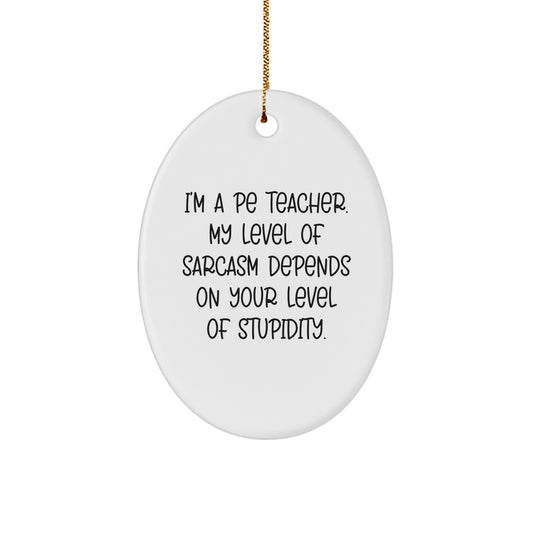 Funny PE Teacher Oval Ornament, Unique Christmas Unique Gifts from Friends or Family with Sarcasm Humor, Decorative Oval Shaped Ornament for PE Teacher - Image 1