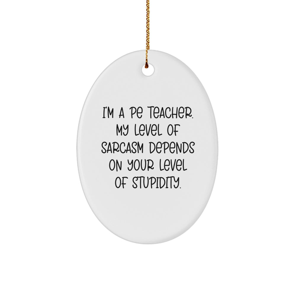 Funny PE Teacher Oval Ornament, Unique Christmas Unique Gifts from Friends or Family with Sarcasm Humor, Decorative Oval Shaped Ornament for PE Teacher - Image 1