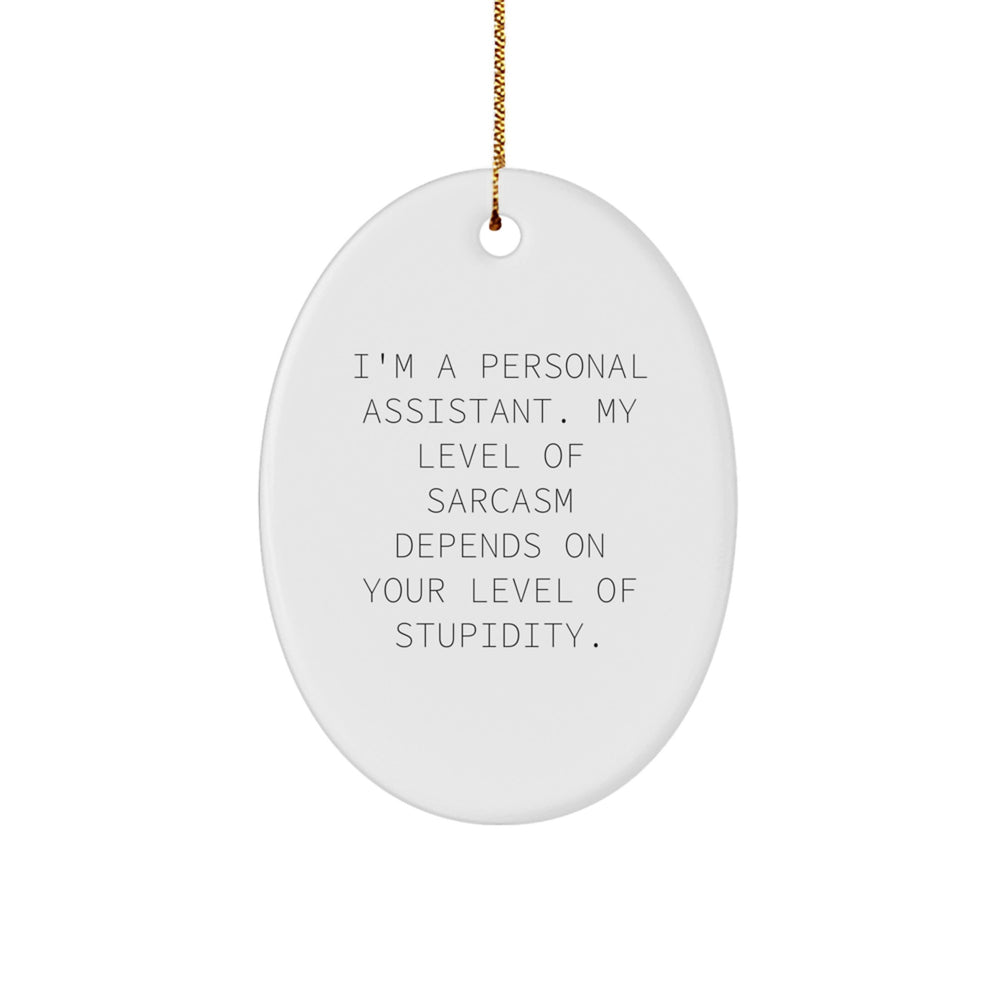 Funny Personal Assistant Oval Ornament Gifts from Friends for Personal Assistants, Oval Shaped Christmas Unique Gifts - Image 1