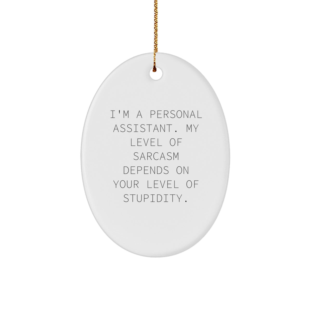 Funny Personal Assistant Oval Ornament Gifts from Friends for Personal Assistants, Oval Shaped Christmas Unique Gifts - Image 1